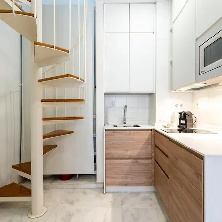 Apartment Duplex Con Terraza Junto A La Catedral *