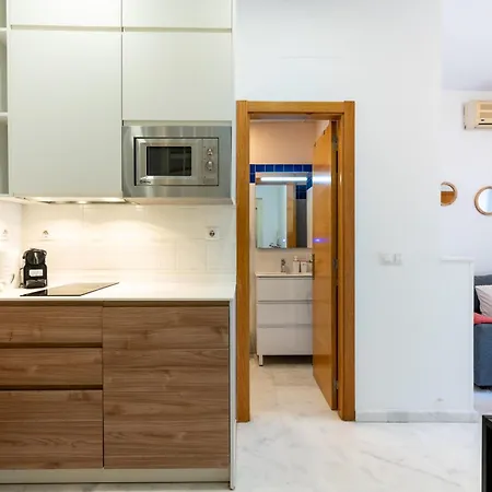 Duplex Con Terraza Junto A La Catedral Apartment
