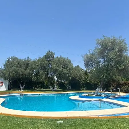 Placer Sevillano On The Glory *