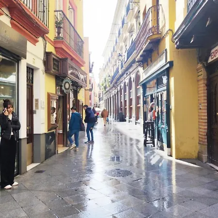 Bohemian * Seville