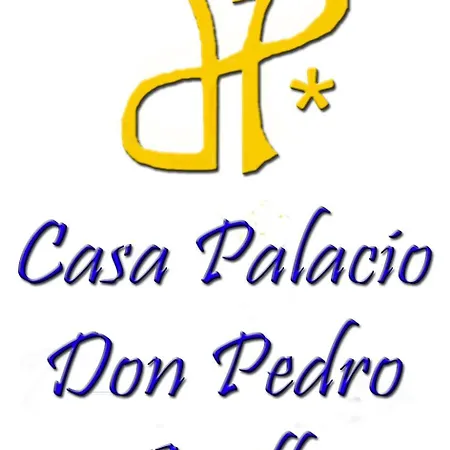 Hotel Casa Palacio Don Pedro *