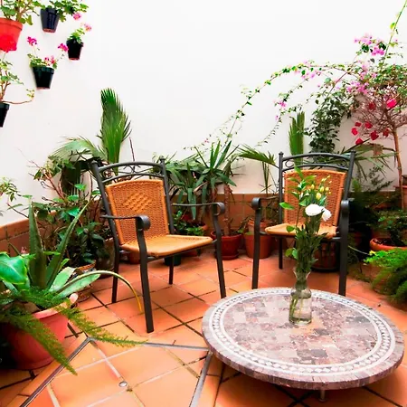 Un Patio Al Sur