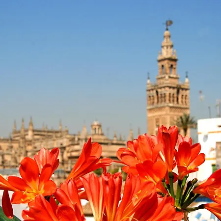 Boutique Casas De Santa Cruz