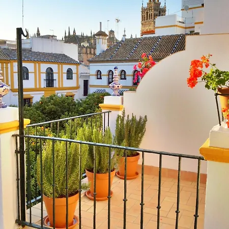Hotel Boutique Elvira Plaza 3*