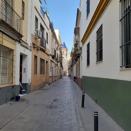 Jardin De Santa Paula Sevilla