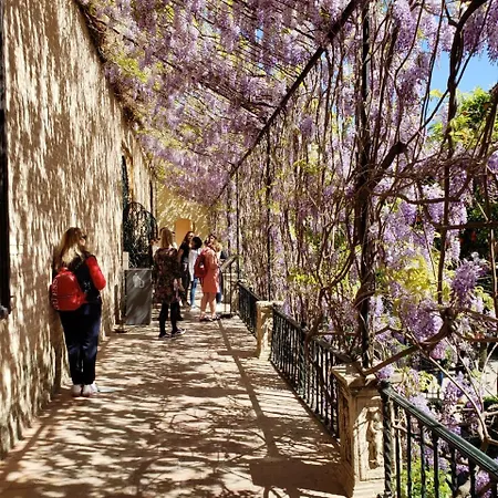 Apartment Jardin De Santa Paula