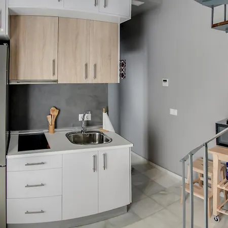 Apartamento Espectacular Atico Con Terraza En Triana