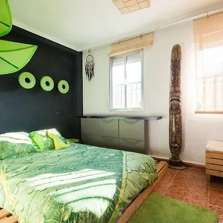 Comfortable & Apartment