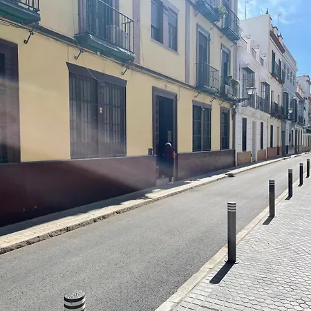 San Lorenzo Fresh Seville