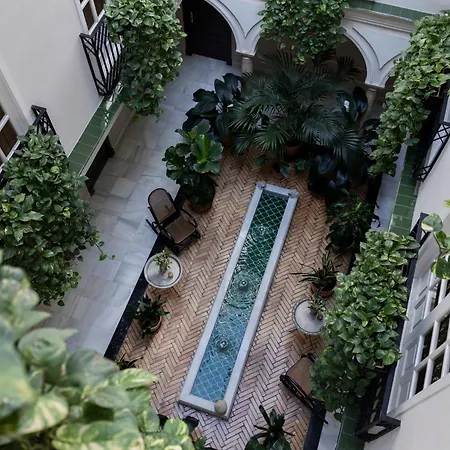 Hotel Gravina 51