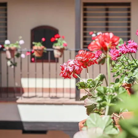 Charming In The Center - 10m Walk Isla Magica Apartment *