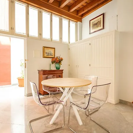 Romana Kindly Seville