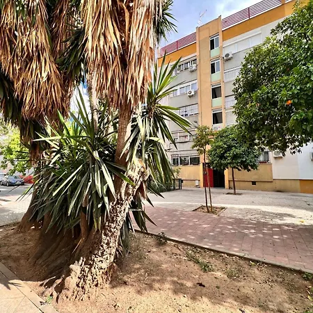 Comfortable & Apartment