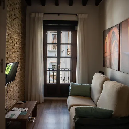Apartment Duplex Luxury Giralda With Terrace *