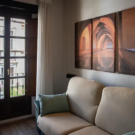 Duplex Luxury Giralda With Terrace Apartment *