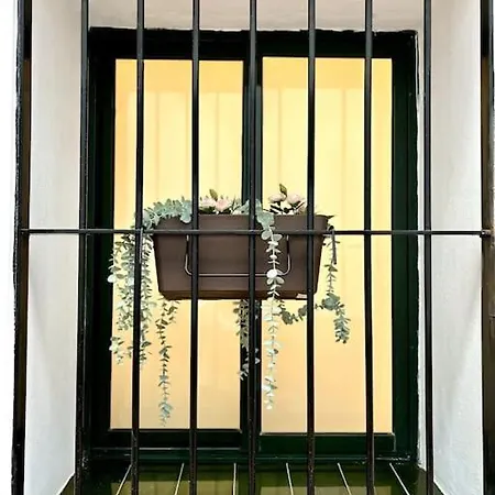 Apartment Auxiliadora Luxury
