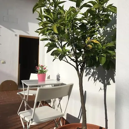 Apartment Catedral - Francos Seville