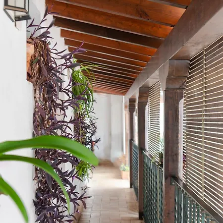 Apartment Corral Del Esquivel