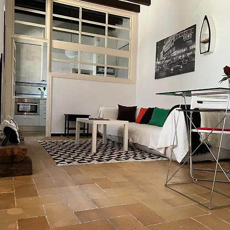 Triana Castilla Rio In Unique Building Apartment