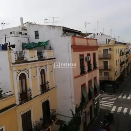 Piso Amplio Y Diafano, Al Lado De Alameda ,centro Apartment Seville