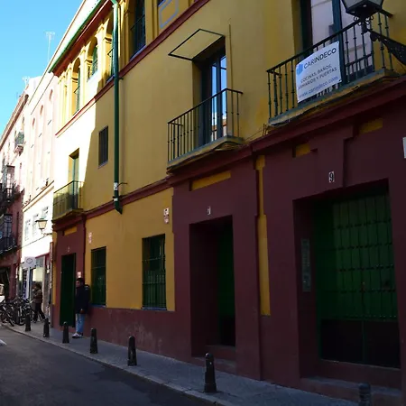 Estudio Setas I Sevilla