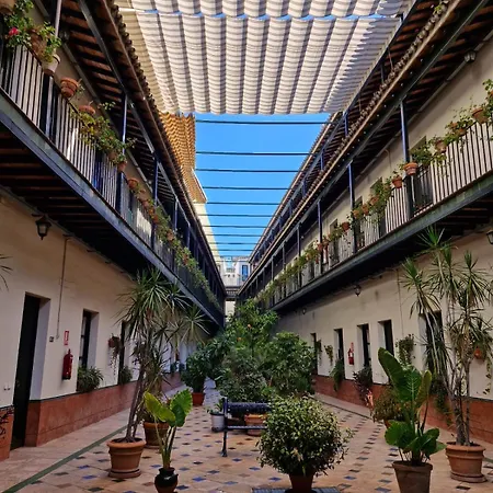Patio Cartuja Apartment