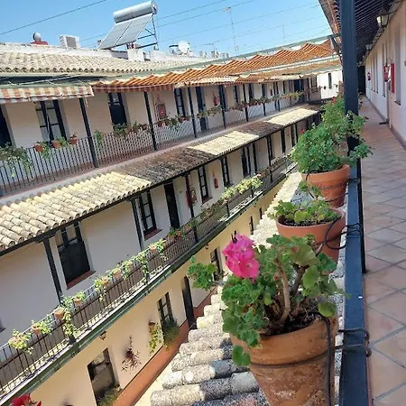 Apartment Patio Cartuja
