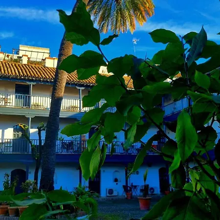 Andalusian Courtyard Seville