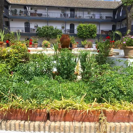 Andalusian Courtyard *