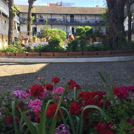 Andalusian Courtyard Seville