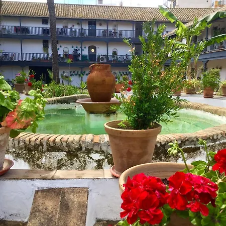 Andalusian Courtyard Seville