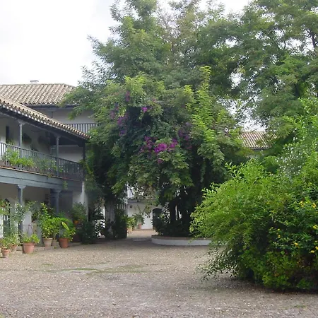 Andalusian Courtyard