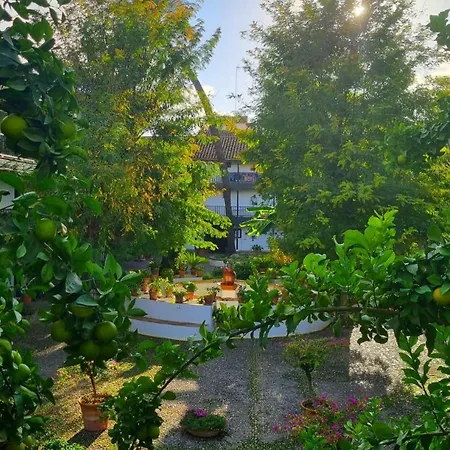 Andalusian Courtyard Apartment Seville