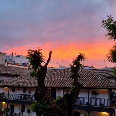 Andalusian Courtyard Seville