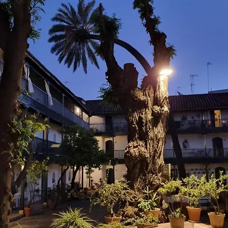 Andalusian Courtyard