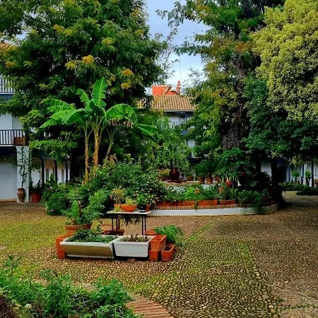 Andalusian Courtyard Apartment