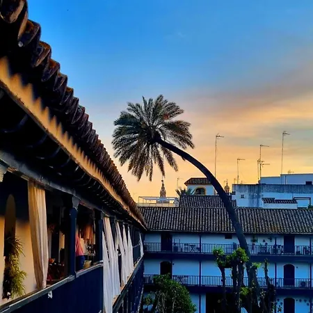 Apartment Andalusian Courtyard