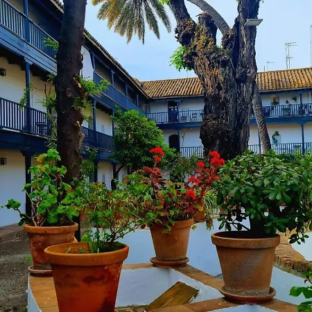 Andalusian Courtyard Apartment Seville
