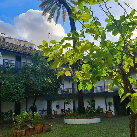Apartment Andalusian Courtyard