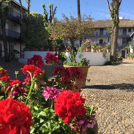 Apartment Andalusian Courtyard *