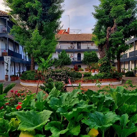 Andalusian Courtyard *