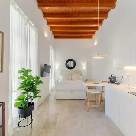 Apartment Isg Puerta Jerez 02