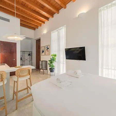 Apartment Isg Puerta Jerez 02