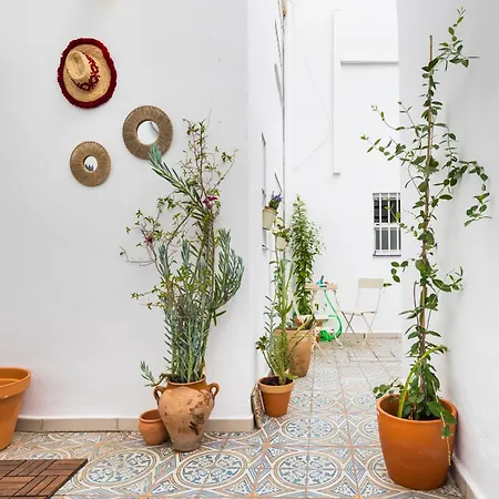 New Charming Duplex With Private Patio Apartment Seville