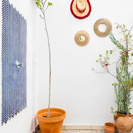 New Charming Duplex With Private Patio Apartment *