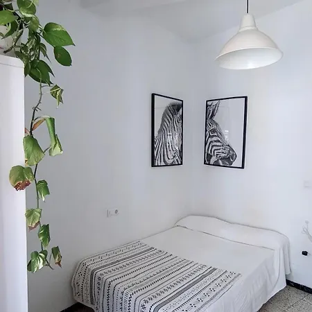 Homestay Preciosa En Pleno Centro De Ideal Hacer Turismo Y Vivir La Ciudad Seville