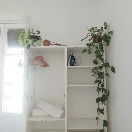 Preciosa En Pleno Centro De Ideal Hacer Turismo Y Vivir La Ciudad Homestay