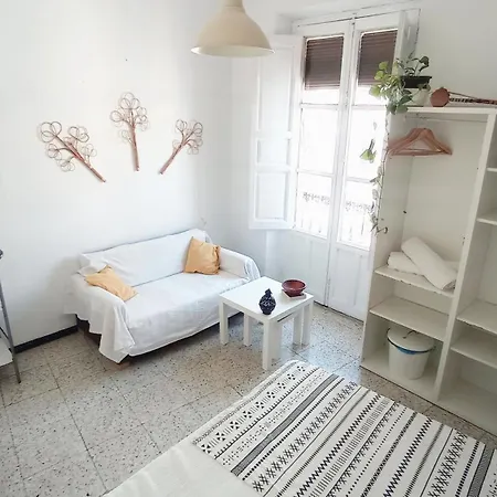 Preciosa En Pleno Centro De Ideal Hacer Turismo Y Vivir La Ciudad Homestay *