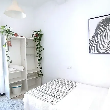 Homestay Preciosa En Pleno Centro De Ideal Hacer Turismo Y Vivir La Ciudad Seville