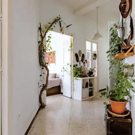 Preciosa En Pleno Centro De Ideal Hacer Turismo Y Vivir La Ciudad Homestay *